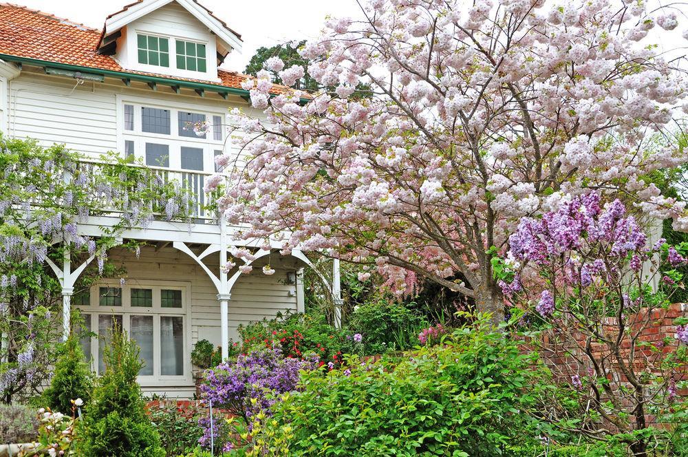 Bed & Breakfast Dyers House